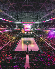 Fankultur im eSport: Motivation und Begeisterung