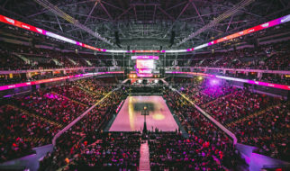 Fankultur im eSport: Motivation und Begeisterung