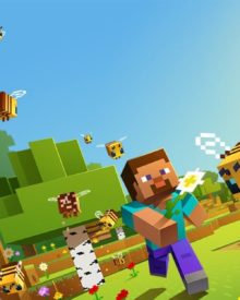 Minecraft 5 Dinge Trivia