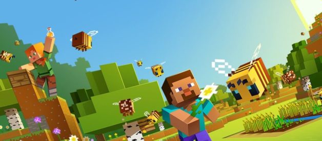 Minecraft 5 Dinge Trivia