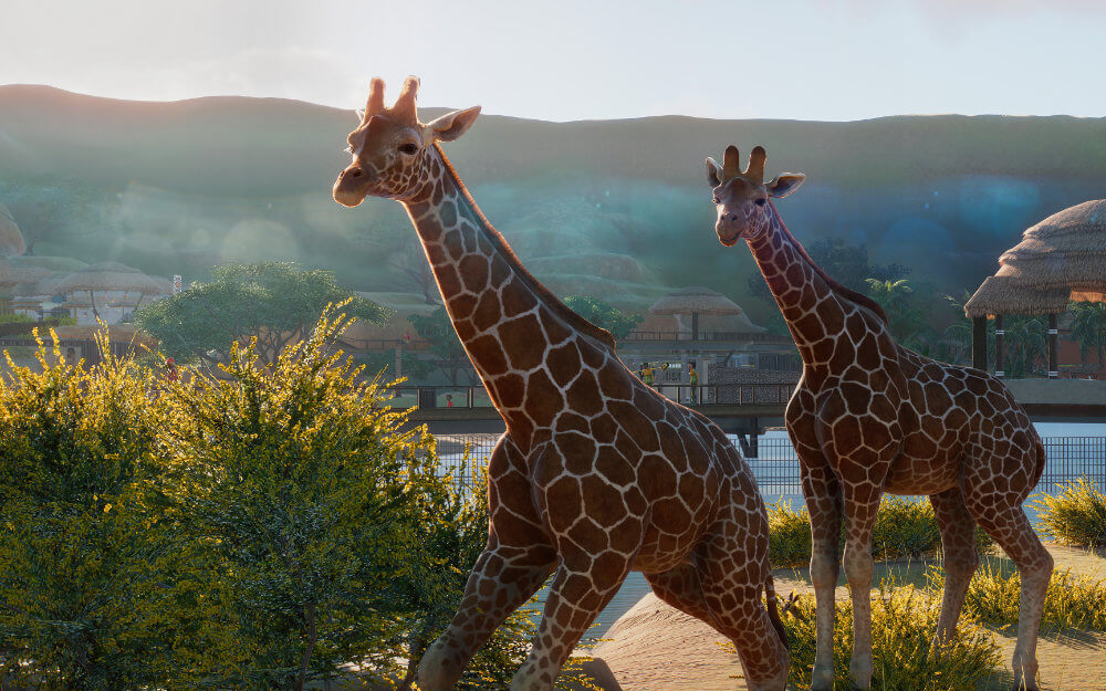 Planet Zoo - Diese Aufbauspiele solltest du kennen