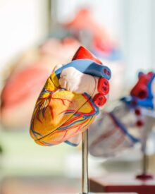 Neuer Gaming PC gefällig? Das sind die Top 5 Organe, die du hierzu verkaufen kannst